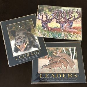 NEW! Three Hunting Bass Pro Shop Wall Art Prints
